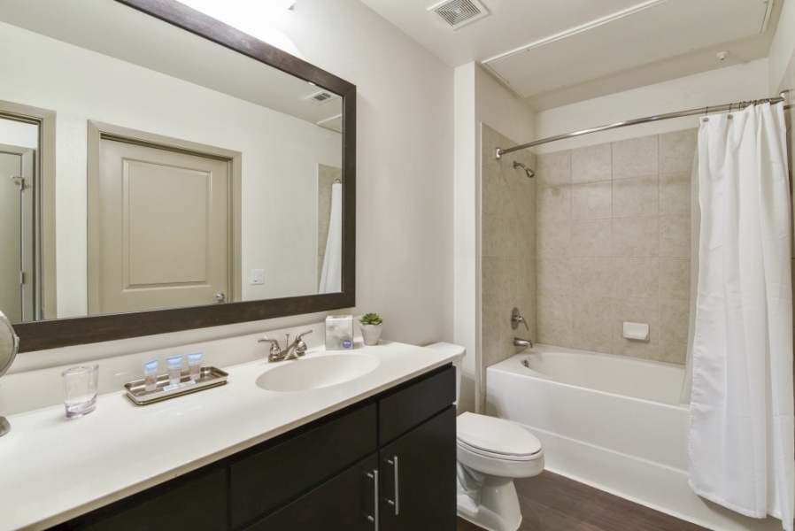 Guest bathroom